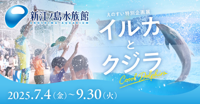 新江ノ島水族館　えのすい特別企画展「イルカとクジラ Coool Dolphin」